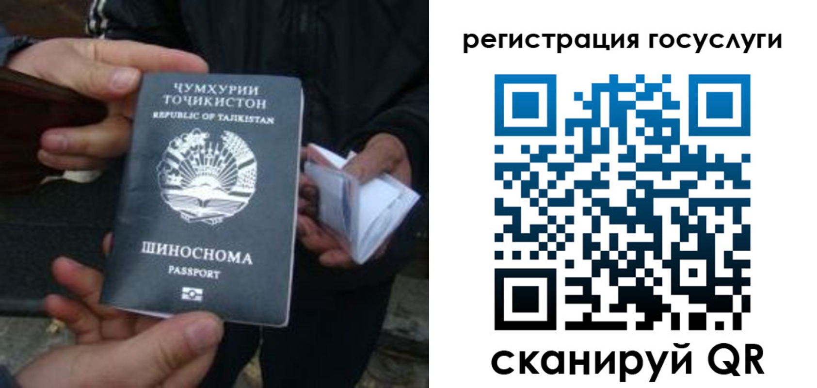 прописка регистрация в Светлогорске