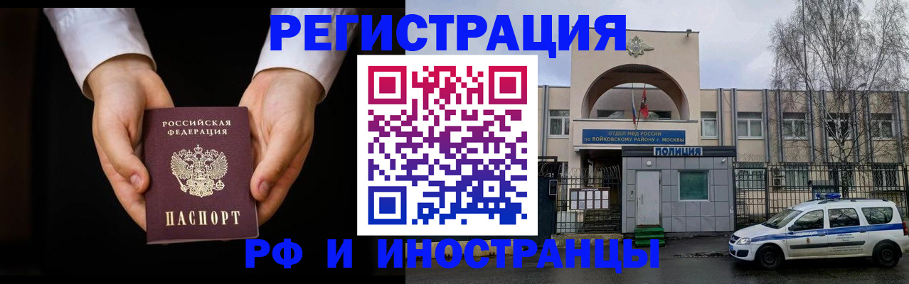 прописка поиск в Светлогорске